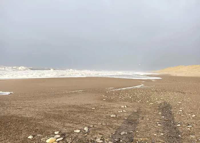 8 Person In Vakantiehuis Ulfborg