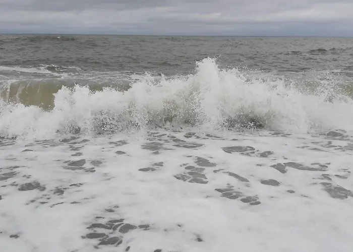 8 Person In Vakantiehuis *